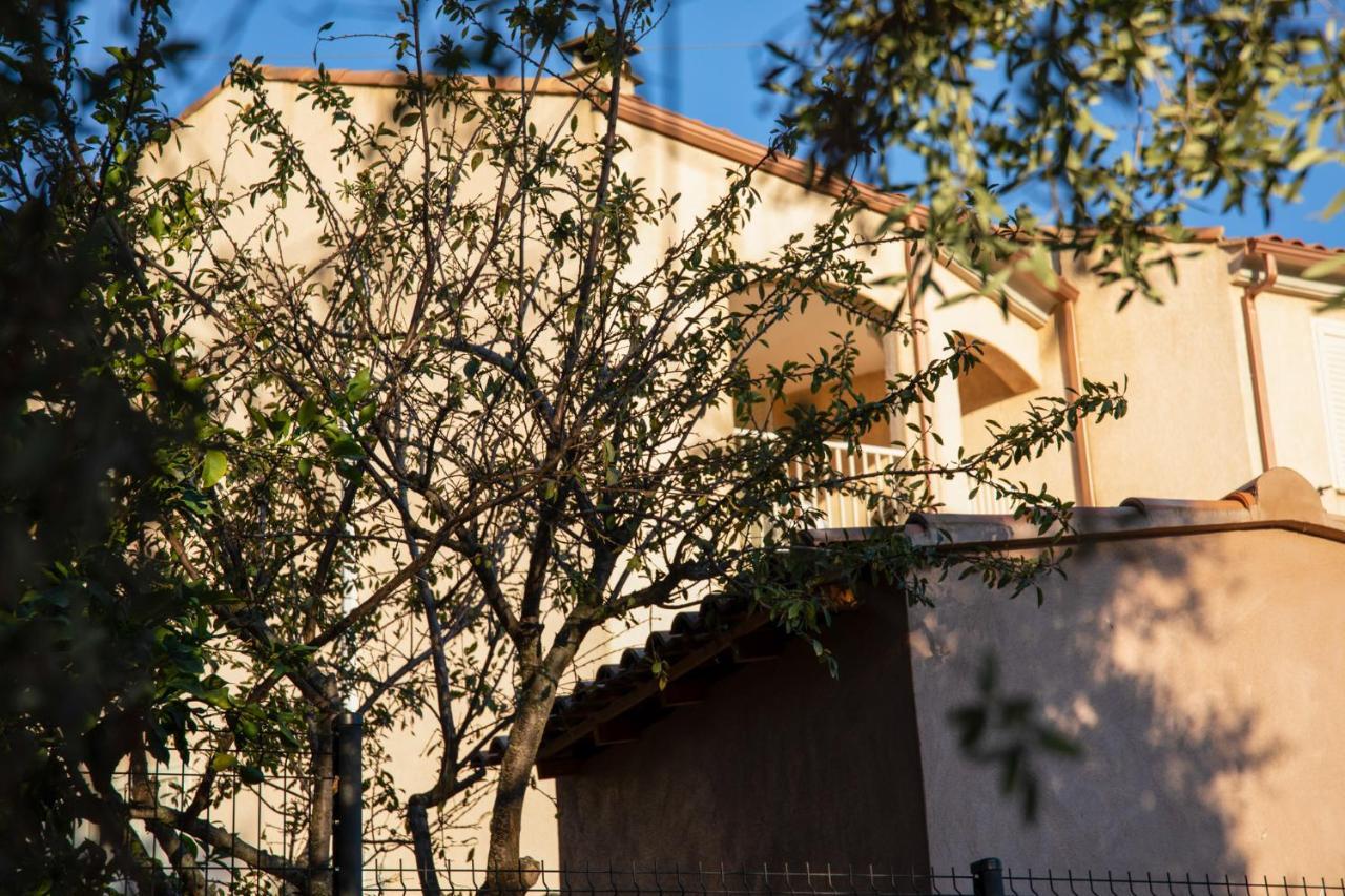 Hébergement de vacances Résidence Assuliu Propriano (Corsica)