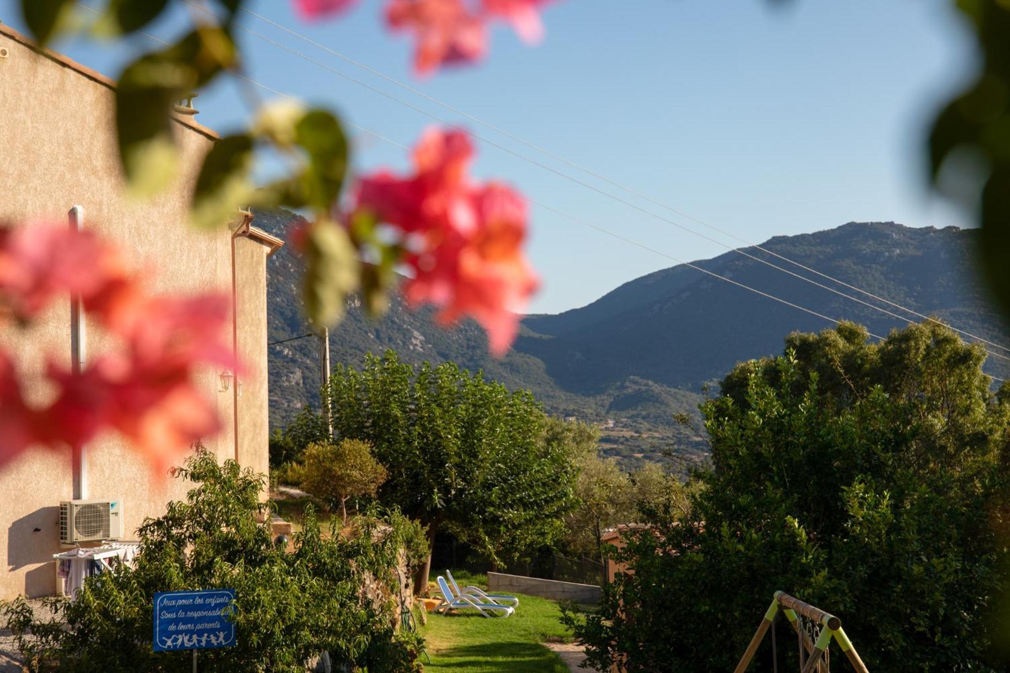 Hébergement de vacances Résidence Assuliu