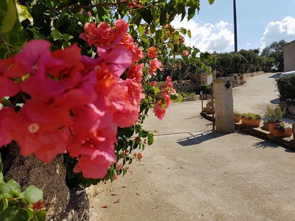 Résidence Assuliu Hébergement de vacances Propriano (Corsica)