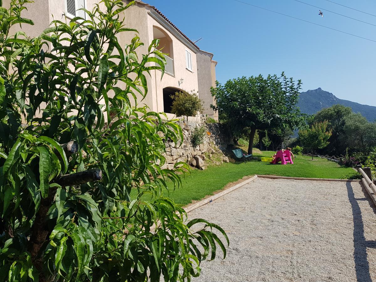 Hébergement de vacances Résidence Assuliu Propriano (Corsica)